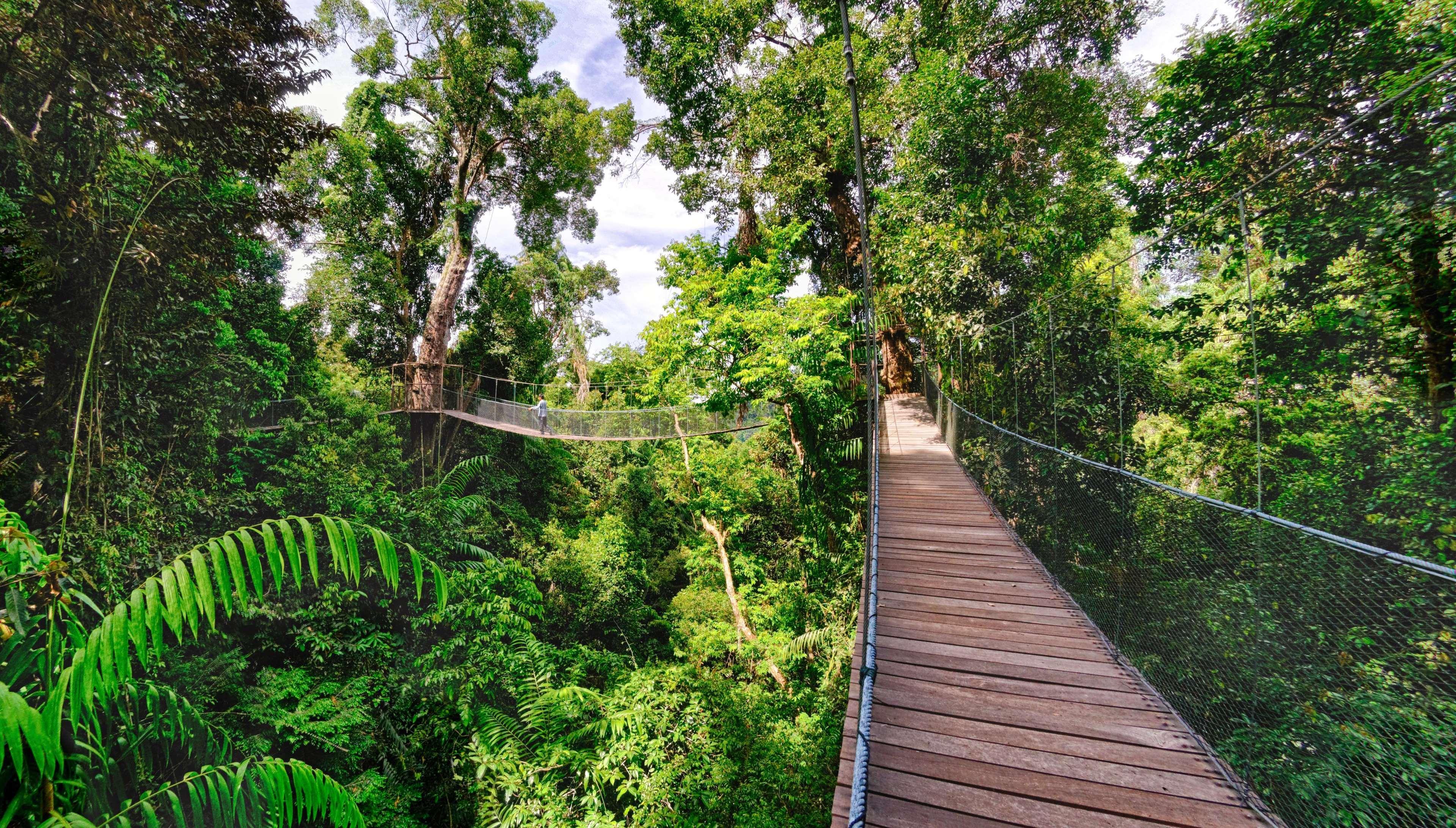 Bunga Raya Island Resort & Spa Gaya Island Zewnętrze zdjęcie